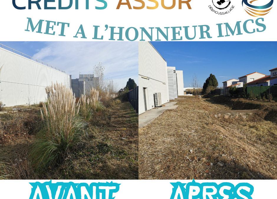 Financement professionnel : IMCS Débroussaillage